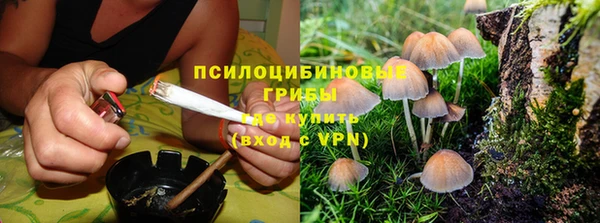 не бодяженный Белокуриха