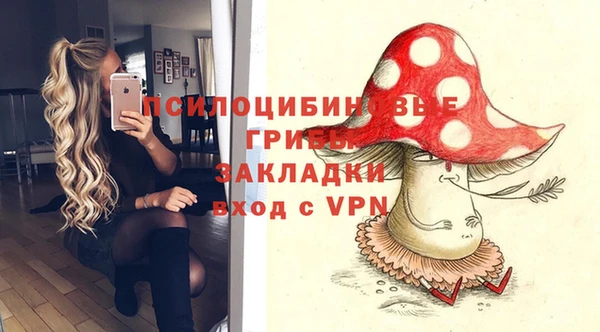 мдпв Беломорск