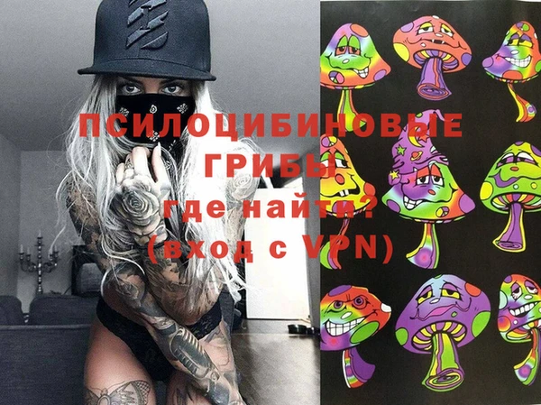 не бодяженный Белокуриха