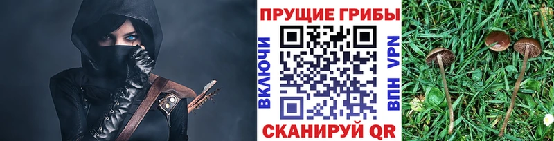 Галлюциногенные грибы ЛСД  Курганинск 